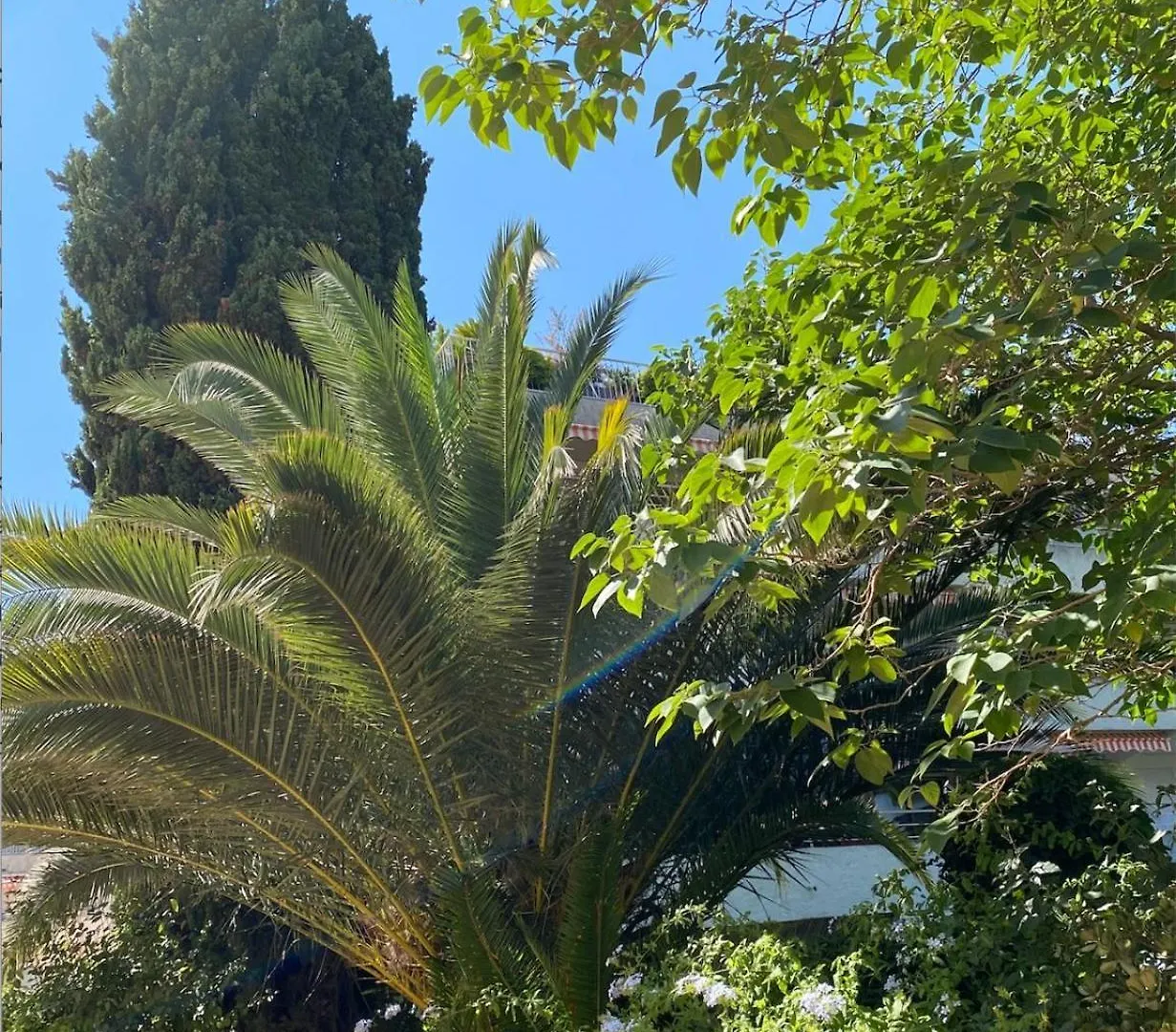 Apartment Appartement 4 P Avec Grande Terrasse, Piscine, Parking Dans Saint Tropez Centre