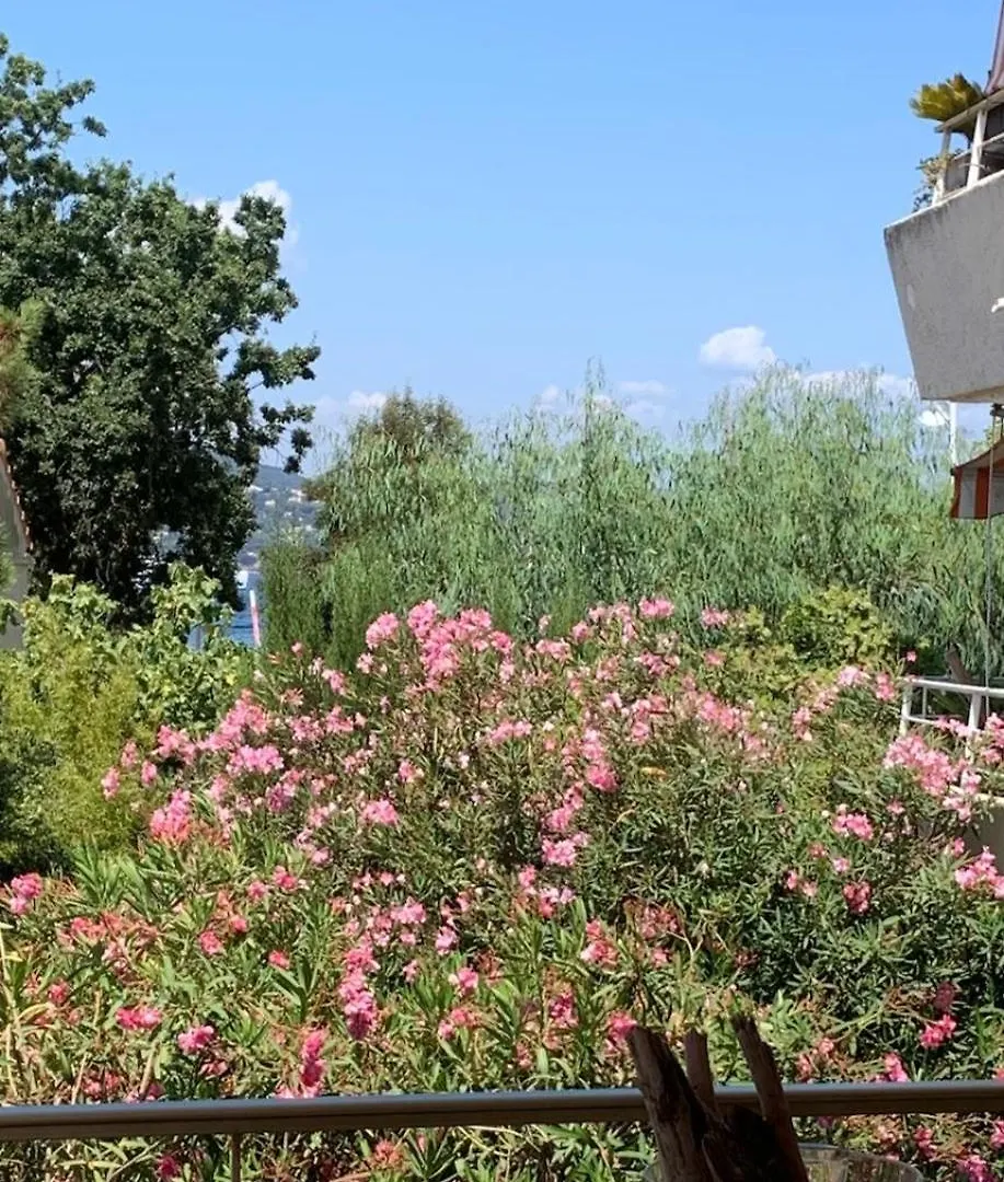 Appartement 4 P Avec Grande Terrasse, Piscine, Parking Dans Saint Tropez Centre Apartment